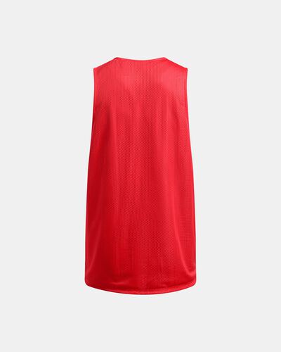 Men's UA Zone Reversible Jersey