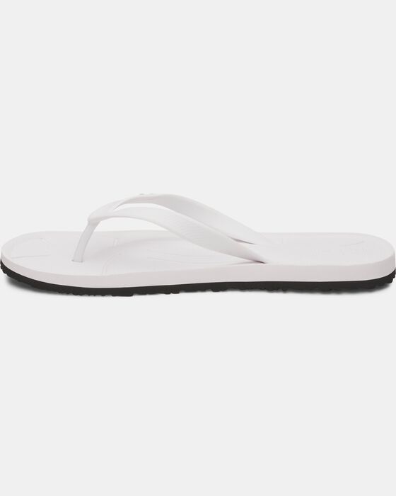 UA ساراسوتا image number 1