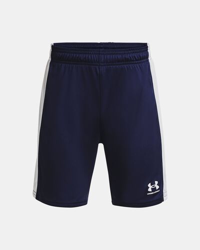 Boys' UA Challenger Knit Shorts