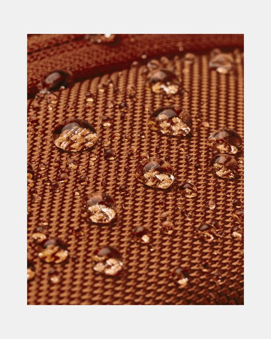 UA Triumph image number 7