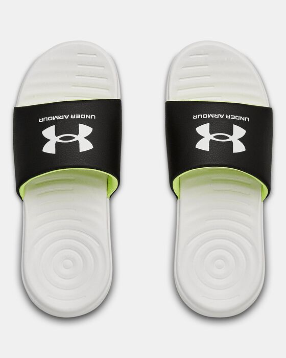 UA Ansa image number 2