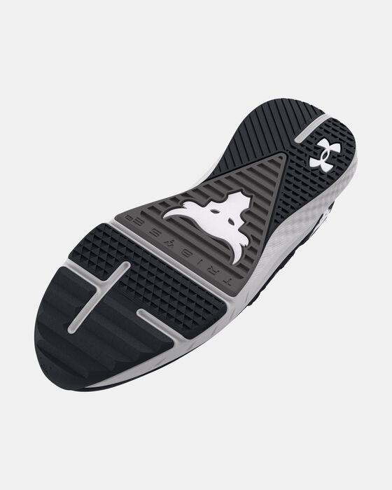 Project Rock BSR 4 image number 4