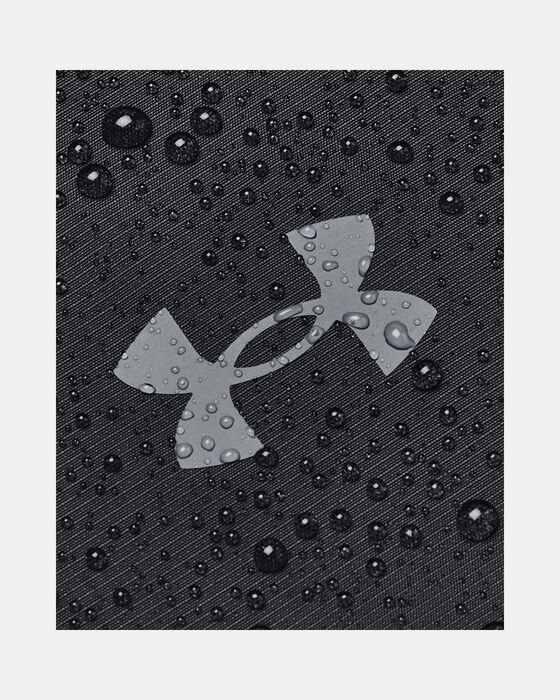 UA Legacy image number 4