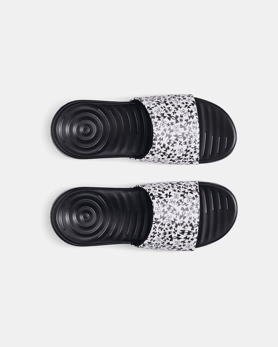 UA Ansa image number 2