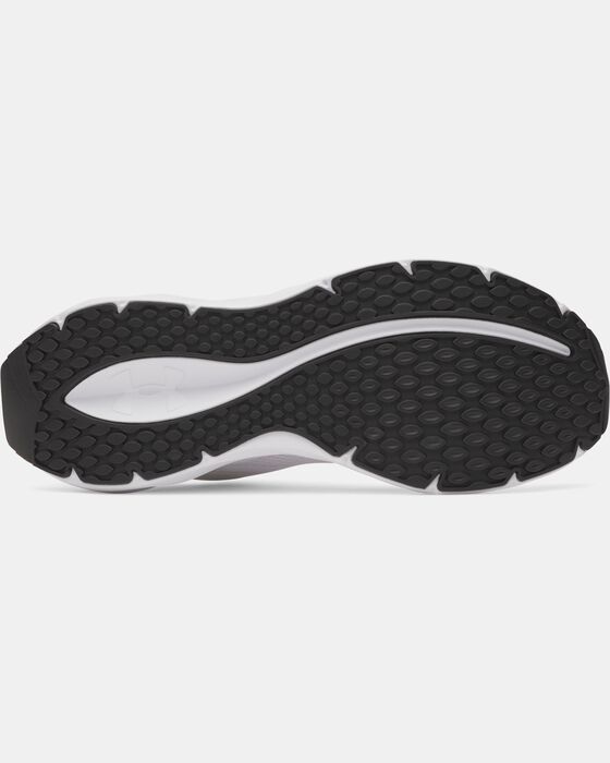 UA Ascend image number 4