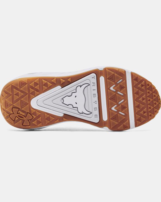 Project Rock 6 image number 4