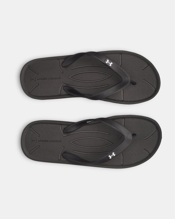 UA ساراسوتا image number 2