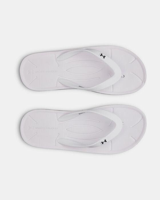 UA ساراسوتا image number 2