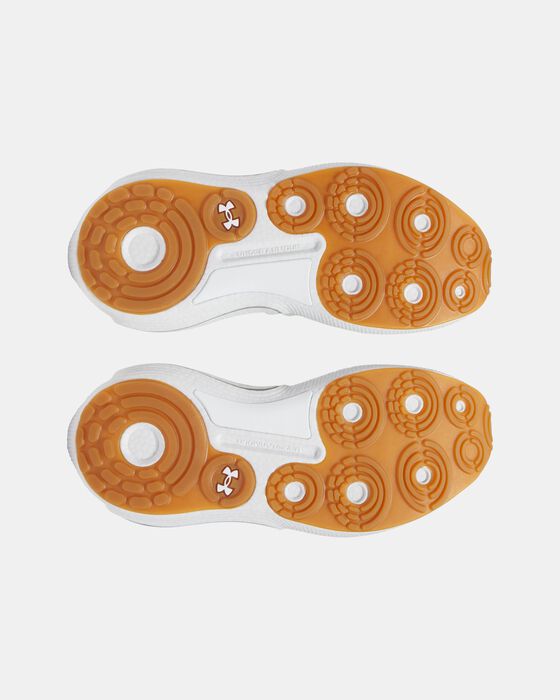 UA Phantom 4 image number 4