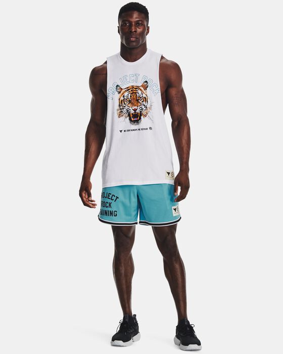 بروجكت روك بيني ميش image number 2