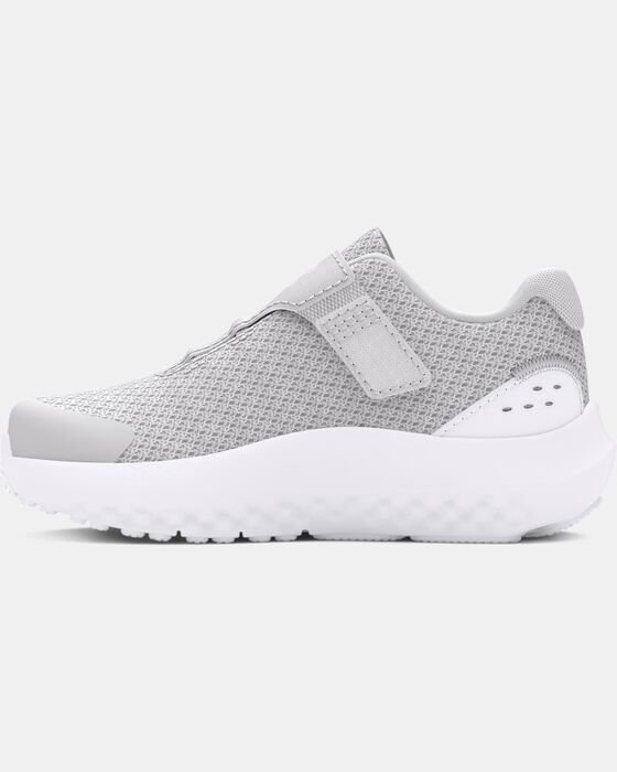 UA Surge 4 AC image number 1