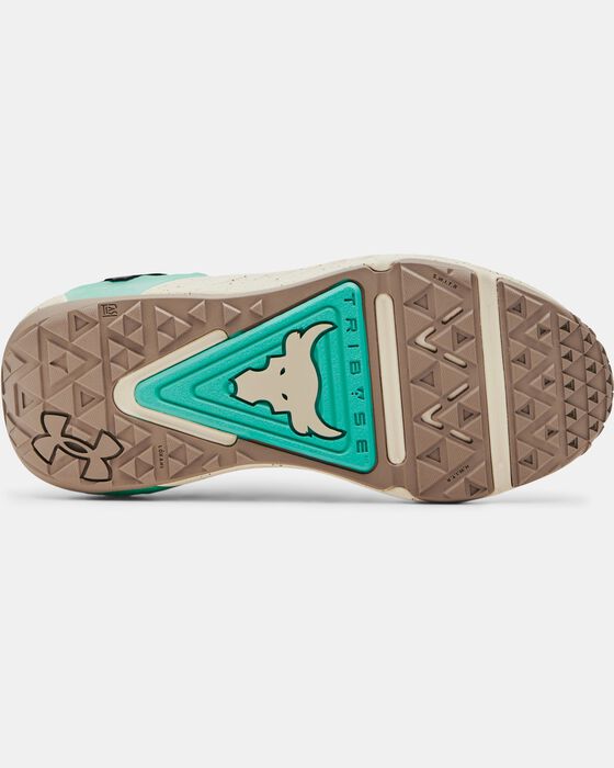 Project Rock 6 image number 4