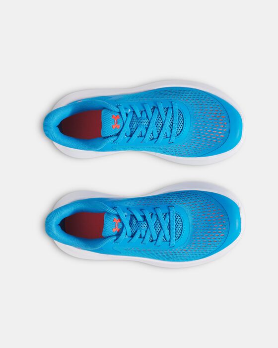 UA Rogue 5 AL image number 2