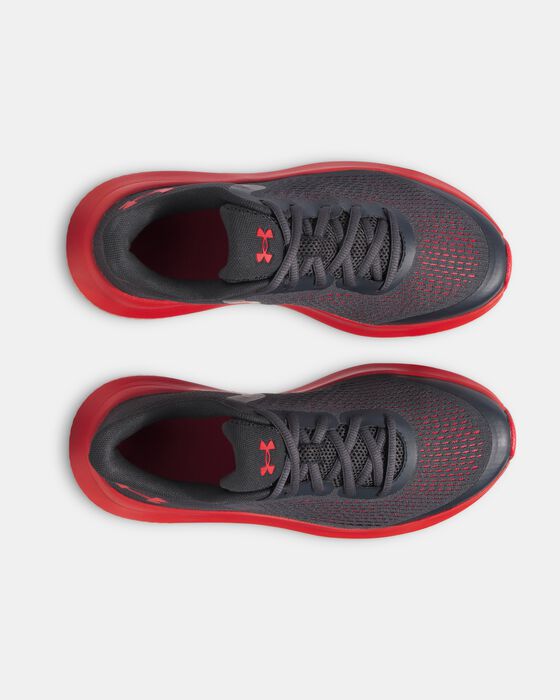 UA Rogue 5 image number 2