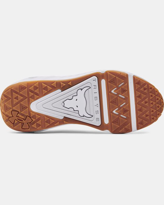 Project Rock 6 image number 4