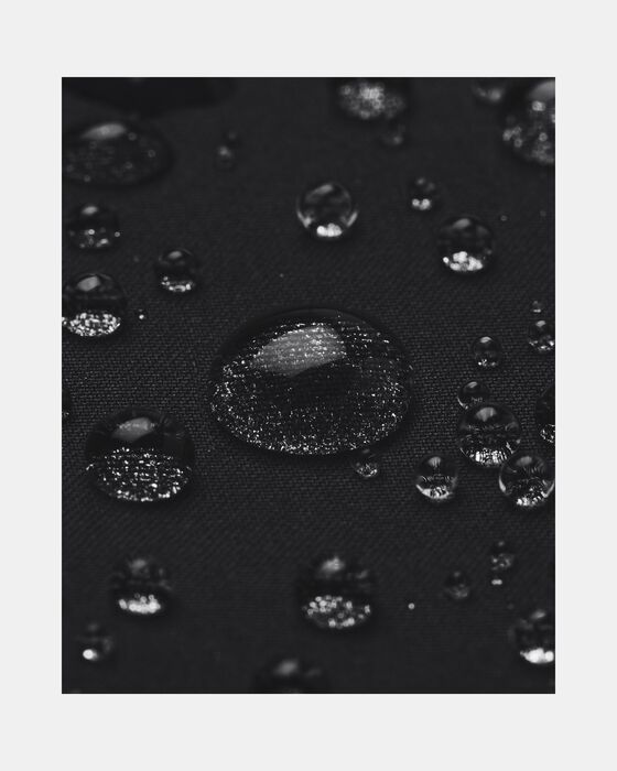 Project Rock Brahma image number 5