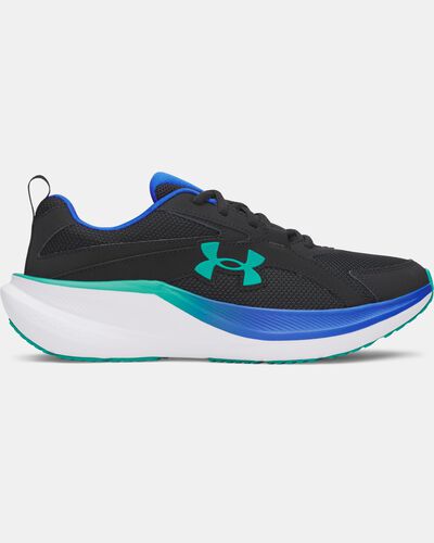 UA Assert 11
