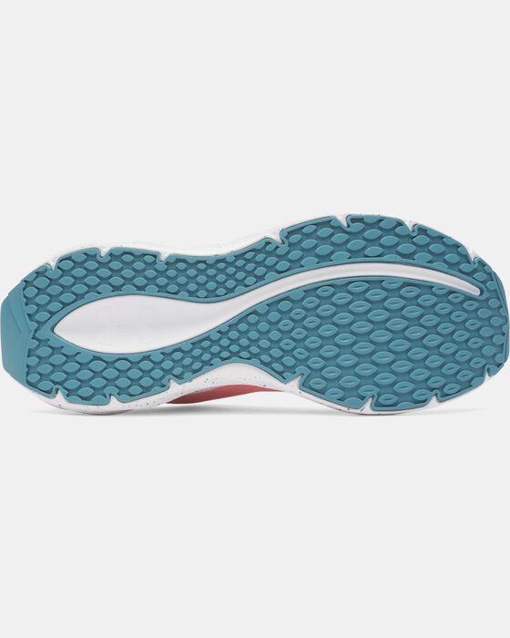 UA Ascend image number 4