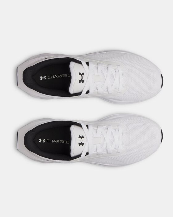 UA Ascend image number 2