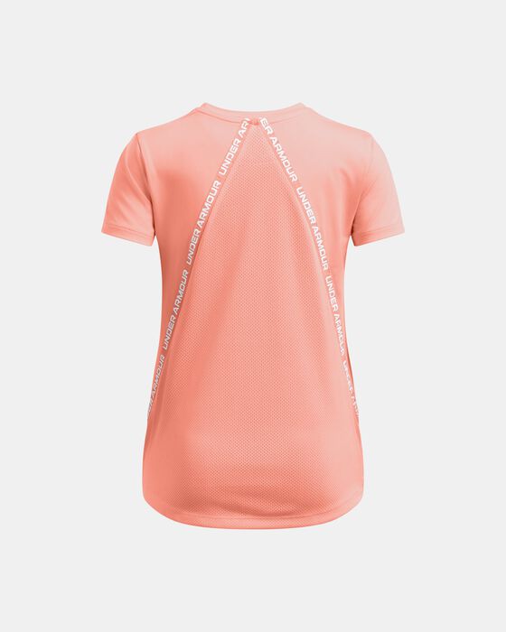 UA Knockout image number 1