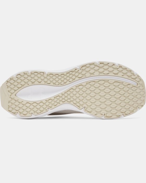 UA Ascend image number 4