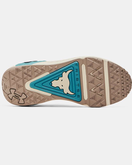 Project Rock 6 image number 4