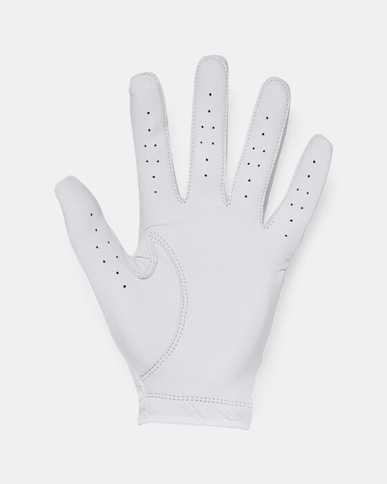 قفاز الجولف UA إيزو-تشيل للرجال قفاز الجولف UA إيزو-تشيل للرجال image number 1