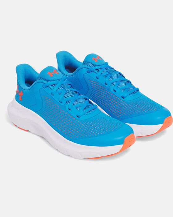 UA Rogue 5 image number 3