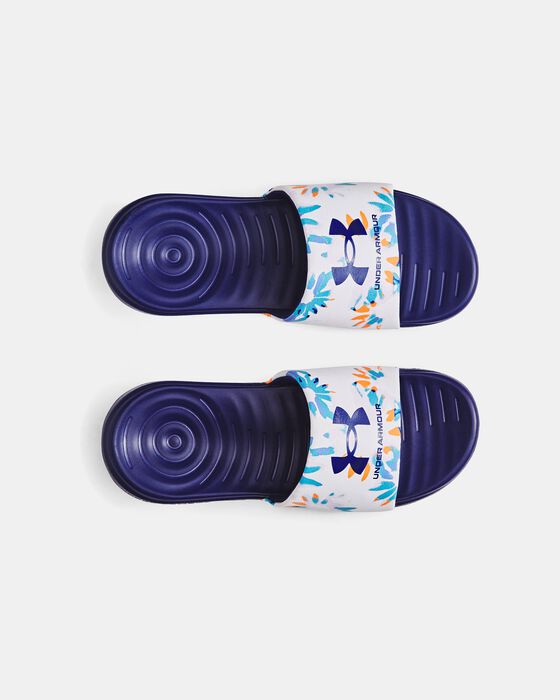 UA Ansa Graphic image number 2