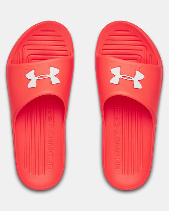 UA Core PTH image number 2