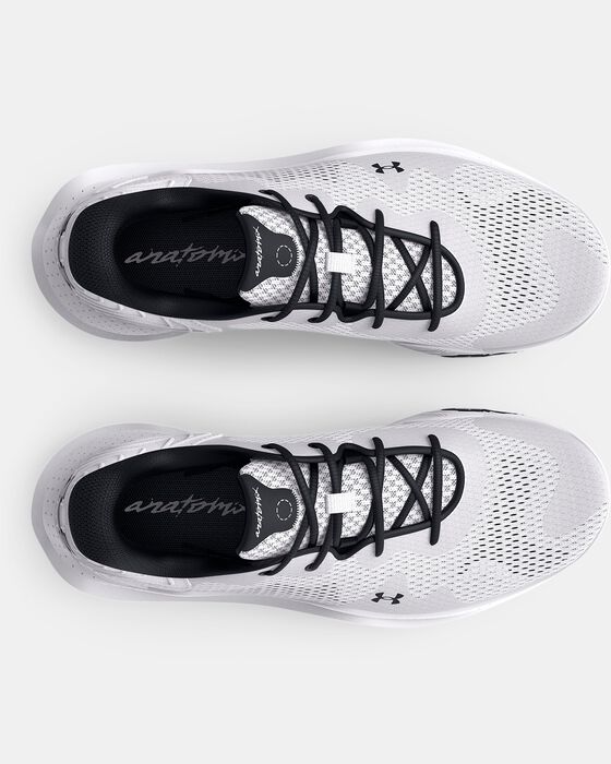 UA Spawn 4 image number 2