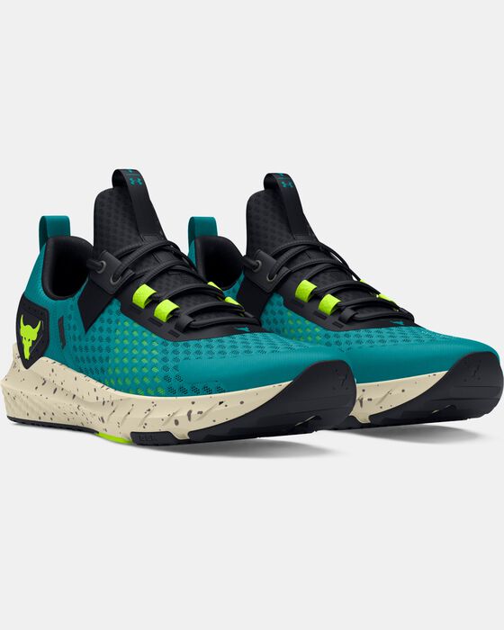 Project Rock BSR 4 image number 3