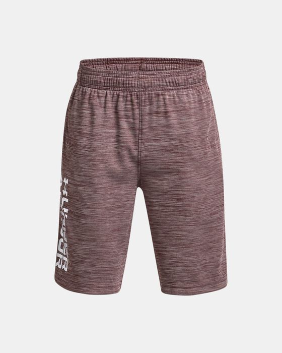 Boys' UA Prototype 2.0 Wordmark Shorts image number 0