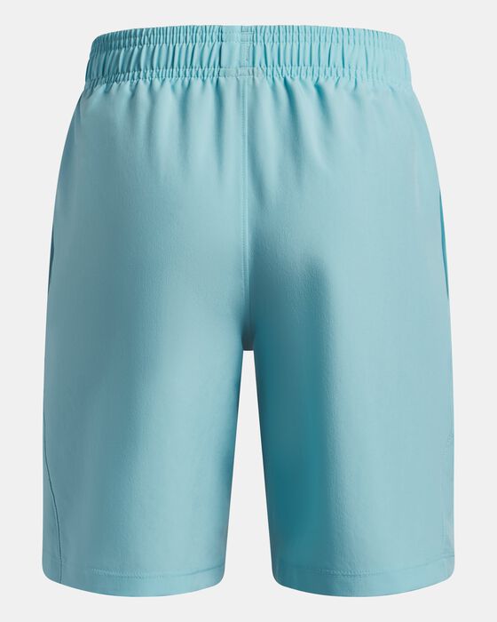 UA Woven image number 1