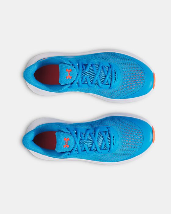 UA Rogue 5 image number 2